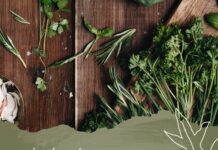 TYPES OF TREATMENT AVAILABLE IN UNANI