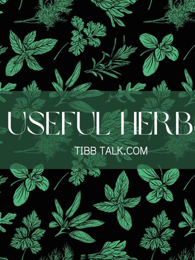 USEFUL HERBS IN YOUR KITCHEN